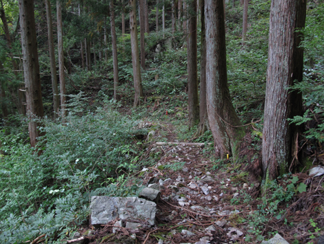 20181016hike (239)